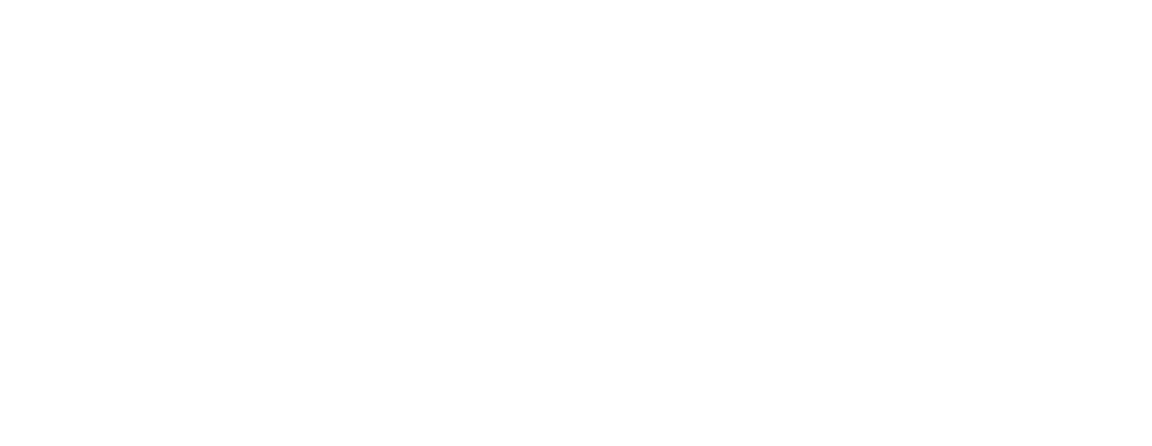 Logo ITA PMS