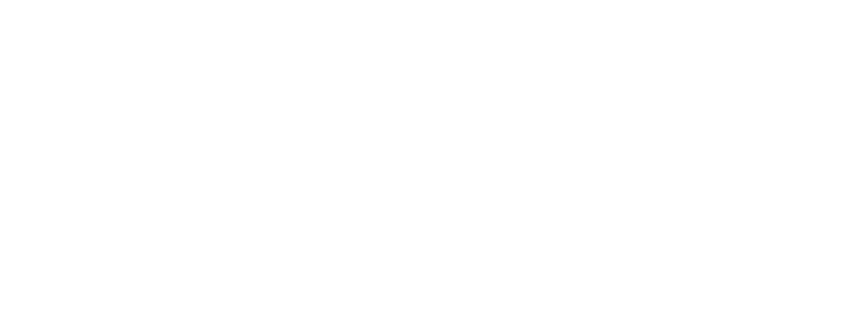 Logo Promise